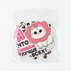 Наклейки на чемодан «Котики», 10 шт, 8 × 8 см - фото 23565983