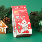 Конфеты шоколадные с кремовой начинкой «VivaChoco Рождественские истории», ассорти, 100 г - фото 320962981