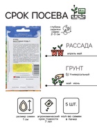 Семена Огурец Виноградная гроздь F1 5 шт. - Фото 2