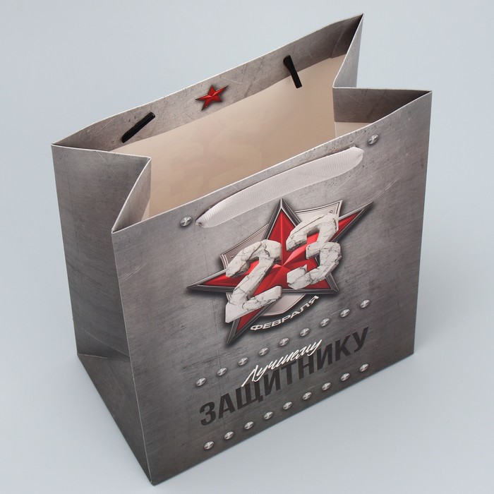 Пакет подарочный ламинированный вертикальный, упаковка, «Защитнику», ML 23 х 27 х 11.5 см - фото 1909477579