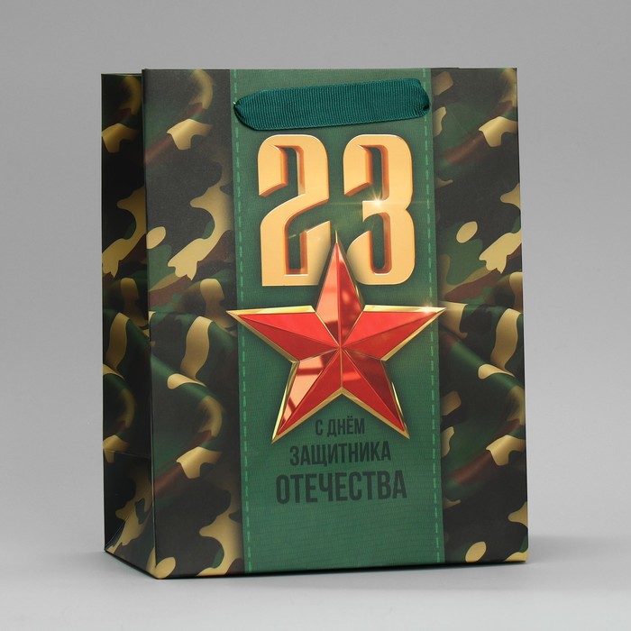 Пакет подарочный ламинированный вертикальный, упаковка, «С Днём Защитника Отечества», MS 18 х 23 х 10 см