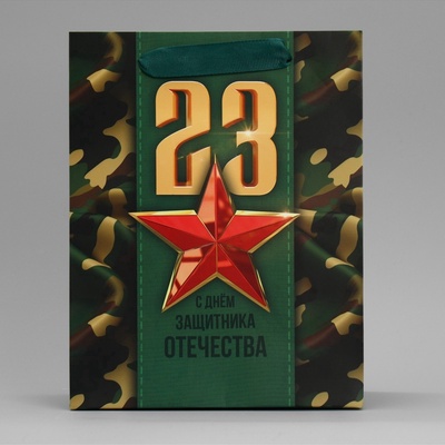 Пакет подарочный ламинированный, упаковка, «С 23 февраля», MS 18×23×10 см