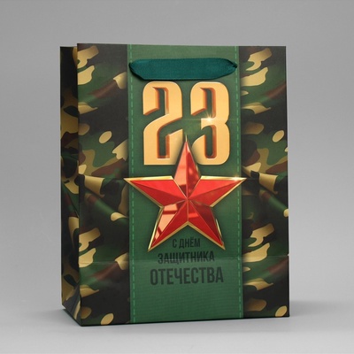 Пакет подарочный ламинированный, упаковка, «С 23 февраля», MS 18×23×10 см