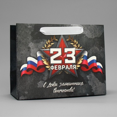 Пакет подарочный ламинированный, упаковка, «23 февраля», MS 23×18×10 см