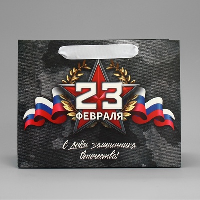 Пакет подарочный ламинированный, упаковка, «23 февраля», MS 23×18×10 см