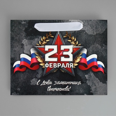 Пакет подарочный ламинированный, упаковка, «23 февраля», MS 23×18×10 см
