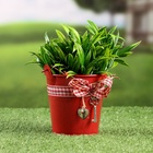 Кашпо «Ведерко Рустад», 10×10×9 см, красное - Фото 2