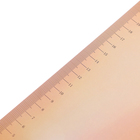 Планшет с прижимом формат А4 картон «Путешествие», МИКС - Фото 10