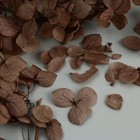 Набор для создания поддона из гипса с сухоцветами «Круг» - фото 8733826
