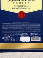 Подарочный набор «Богатства и успеха!», гель для душа виски 250 мл и мочалка для тела, Чистое счастье - фото 61911543