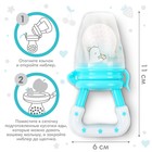 Ниблер для прикорма, от 5 мес., с силиконовой сеточкой, размер М, Basic, бирюзовый - Фото 2