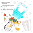 Ниблер для прикорма, от 5 мес., с силиконовой сеточкой, размер М, Basic, бирюзовый - Фото 3