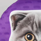 Подушка декоративная «Британец» - фото 23659259 Подушка декоративная «Британец» - фото 23659259