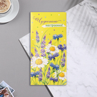 Конверт для денег "Чудесного настроения!" глиттер, конгрев, 17х8 см (комплект 10 шт) - фото 23584849