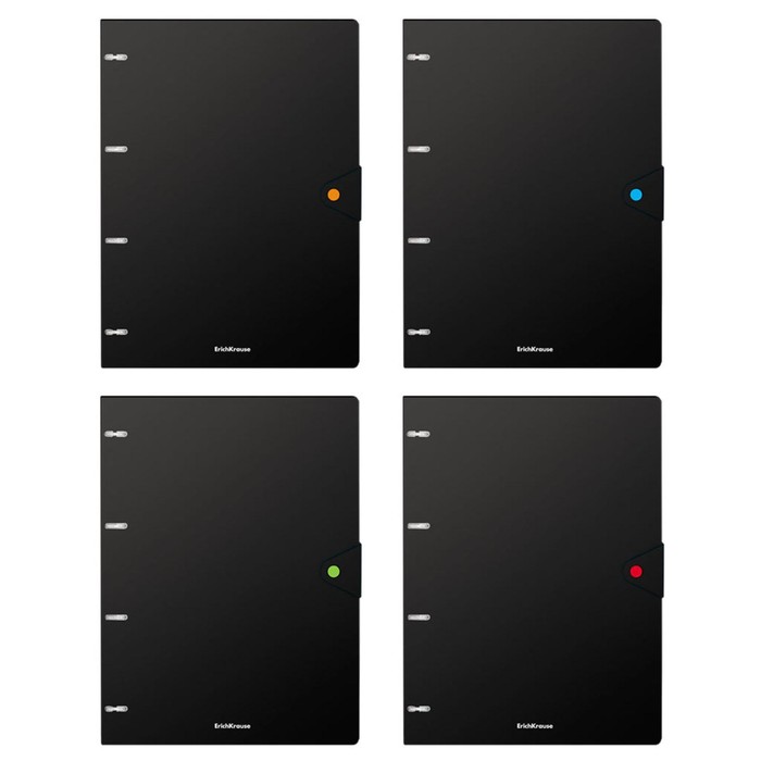 Тетрадь на кольцах ErichKrause. Accent А4, 80 листов, в клетку, с пластиковой обложкой, на кнопке, блок офсет, МИКС - Фото 1