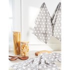 Набор полотенец кухонных Stellar Grey, размер 45x60 см, цвет серый - Фото 1