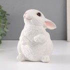 Копилка  "Кролик №3 Белый (лапки вниз)" высота 16 см, ширина 10,5 см, длина 12,5 см - фото 9031219