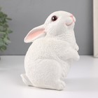 Копилка  "Кролик №3 Белый (лапки вниз)" высота 16 см, ширина 10,5 см, длина 12,5 см - фото 9031220
