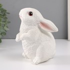 Копилка  "Кролик №3 Белый (лапки вниз)" высота 16 см, ширина 10,5 см, длина 12,5 см - фото 9031222