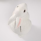Копилка  "Кролик №3 Белый (лапки вниз)" высота 16 см, ширина 10,5 см, длина 12,5 см - Фото 5