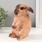 Копилка  "Кролик №4 Сиамский окрас " высота 17,5 см, ширина 11,5 см, длина 11,5 см - Фото 4