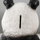 Копилка  "Панда жующая " высота 23 см, ширина 16 см, длина 14,5 см. - фото 9617028