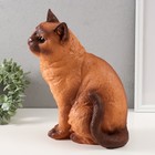 Копилка  "Кошка Сиамская окраска" высота 31,5 см, ширина 16 см, длина 24 см. - Фото 4