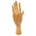 Манекен художественный "рука" Гамма "Студия", женская левая, деревянный, 25см - фото 294115559