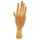 Манекен художественный "рука" Гамма "Студия", женская правая, деревянный, 25см - фото 294115562