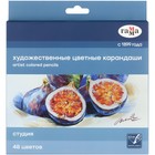 Карандаши цветные 48 цветов Гамма "Студия", диаметр грифеля 3,3 мм - фото 294115596