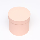 Набор круглых коробок 5 в 1 "Персик", 25 х 25 - 19 х 19 см - фото 23572620