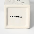 Аксессуары для ванной Доляна «Цветочный барельеф», 4 предмета, дозатор 270 мл, мыльница, 2 стакана 210 мл, белые - Фото 9