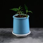 Поддон для горшка, d = 8 см, пластик, цвет мрамор - Фото 4