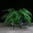 Поддон для горшка, d = 16 см, пластик, цвет мрамор - Фото 4