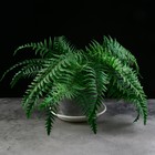 Поддон для горшка, d = 18 см, пластик, цвет мрамор - Фото 4