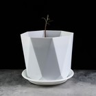 Поддон для горшка, d=25 см, пластик, цвет мрамор - Фото 4