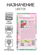 Семена цветов пеларгония «Кабаре садовая», 0.025 г - Фото 3