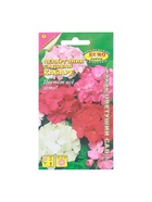 Семена цветов пеларгония «Кабаре садовая», 0.025 г - Фото 5