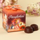 Конфеты шоколадные «Расцветай», вкус: вишня, 60 г. - фото 109574186