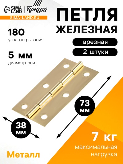 Петля накладная ТУНДРА, 73×38×1 мм, цвет золото, 2 шт.