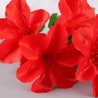 Букет искусственный «Адениум экстра галант», d=14 см, 30 см, МИКС - Фото 2