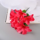 Букет искусственный «Адениум экстра галант», d=14 см, 30 см, МИКС - Фото 3