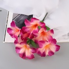 Букет искусственный «Адениум экстра галант», d=14 см, 30 см, МИКС - Фото 4