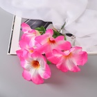 Букет искусственный «Адениум экстра галант», d=14 см, 30 см, МИКС - Фото 6