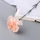 Цветы искусственные "Гвоздика экстра галант" d-8 см 49 см, персиковый - Фото 1