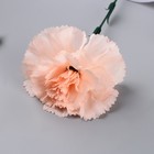 Цветы искусственные "Гвоздика экстра галант" d-8 см 49 см, персиковый - Фото 2
