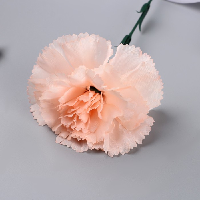 Цветы искусственные "Гвоздика экстра галант" d-8 см 49 см, персиковый