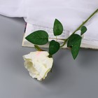 Цветы искусственные "Роза чайная экстра" d-7 см 44 см, белый - фото 293472979