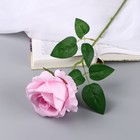 Цветы искусственные "Роза чайная экстра" d-7 см 44 см, розовый - фото 11984669