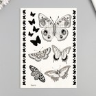 Татуировка на тело чёрная "Бабочки" 25х15 см - фото 320967119